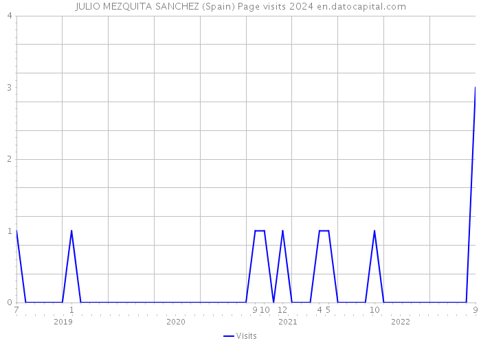 JULIO MEZQUITA SANCHEZ (Spain) Page visits 2024 