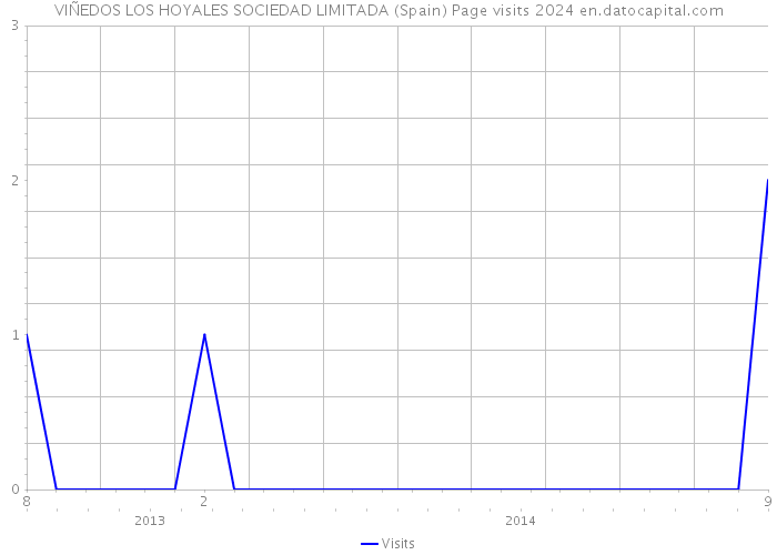VIÑEDOS LOS HOYALES SOCIEDAD LIMITADA (Spain) Page visits 2024 