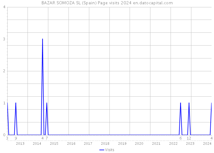 BAZAR SOMOZA SL (Spain) Page visits 2024 