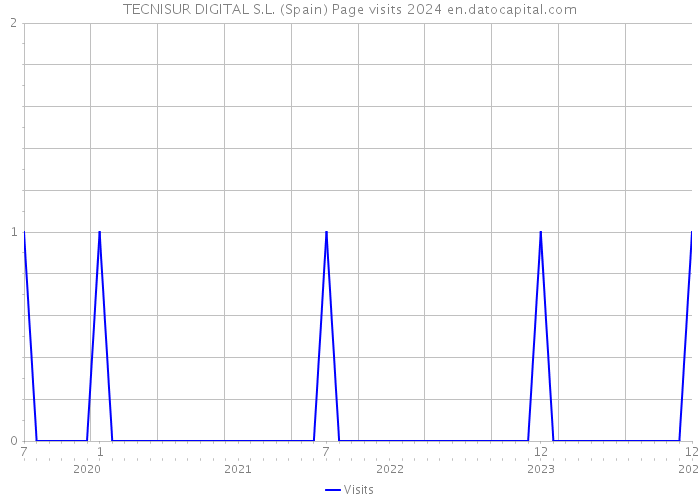 TECNISUR DIGITAL S.L. (Spain) Page visits 2024 