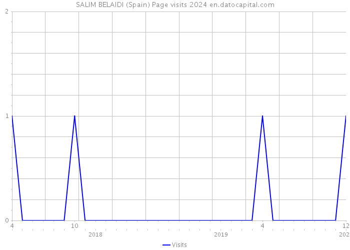 SALIM BELAIDI (Spain) Page visits 2024 