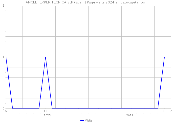 ANGEL FERRER TECNICA SLP (Spain) Page visits 2024 
