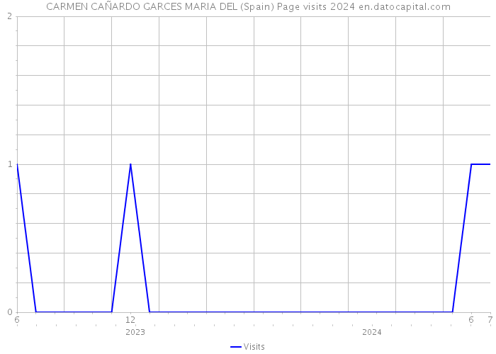 CARMEN CAÑARDO GARCES MARIA DEL (Spain) Page visits 2024 