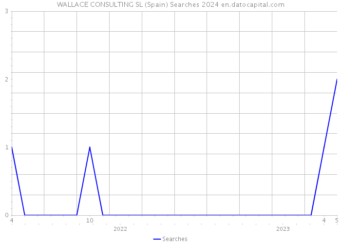 WALLACE CONSULTING SL (Spain) Searches 2024 