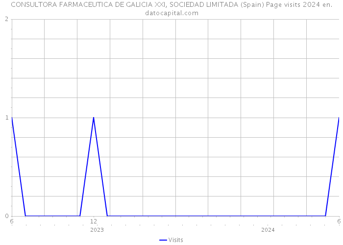 CONSULTORA FARMACEUTICA DE GALICIA XXI, SOCIEDAD LIMITADA (Spain) Page visits 2024 