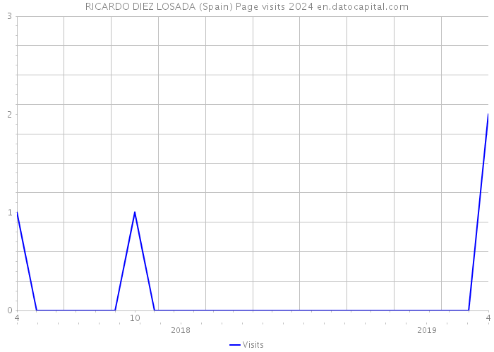 RICARDO DIEZ LOSADA (Spain) Page visits 2024 