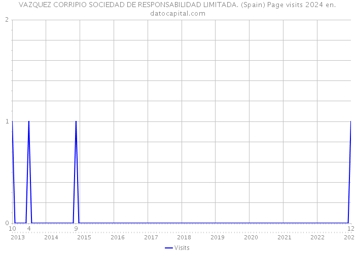 VAZQUEZ CORRIPIO SOCIEDAD DE RESPONSABILIDAD LIMITADA. (Spain) Page visits 2024 