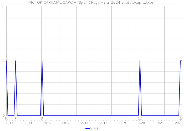 VICTOR CARVAJAL GARCIA (Spain) Page visits 2024 