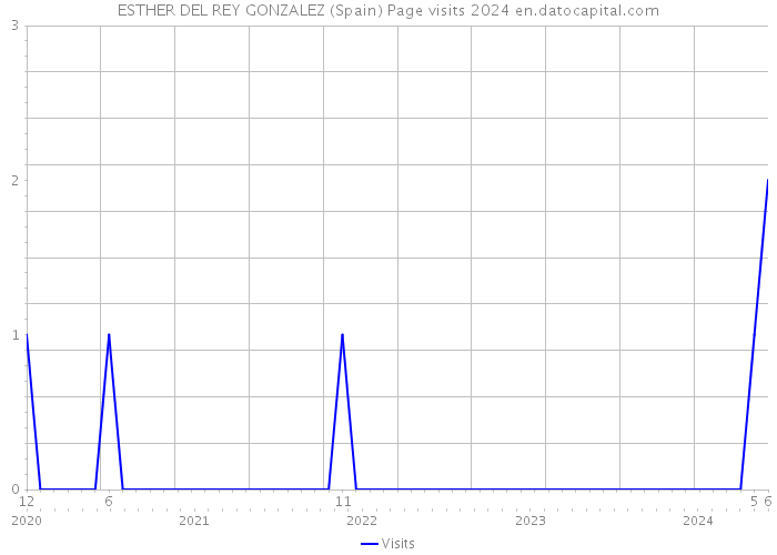 ESTHER DEL REY GONZALEZ (Spain) Page visits 2024 