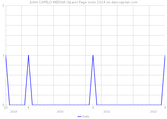 JUAN CAPELO MEDINA (Spain) Page visits 2024 