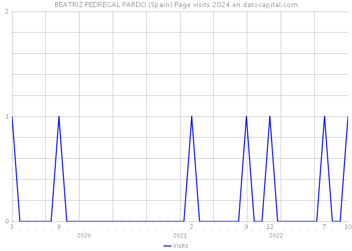 BEATRIZ PEDREGAL PARDO (Spain) Page visits 2024 