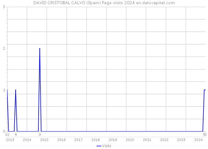 DAVID CRISTOBAL CALVO (Spain) Page visits 2024 