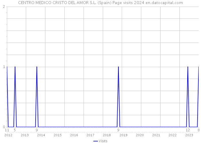 CENTRO MEDICO CRISTO DEL AMOR S.L. (Spain) Page visits 2024 