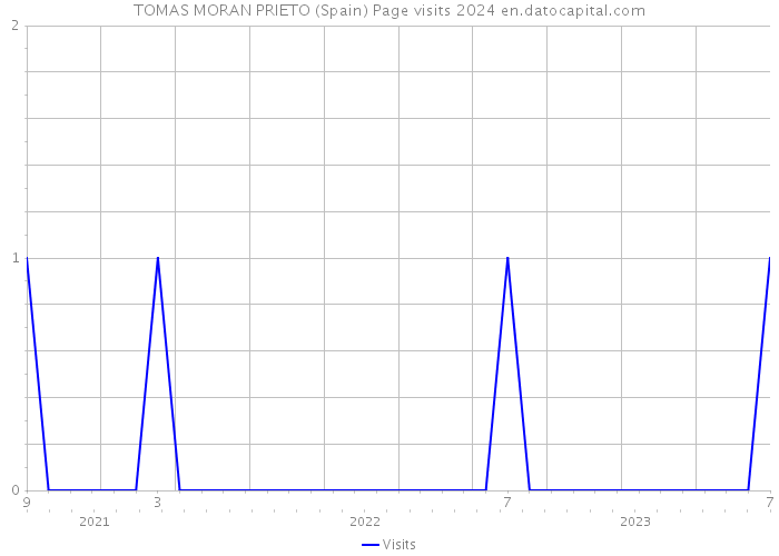 TOMAS MORAN PRIETO (Spain) Page visits 2024 