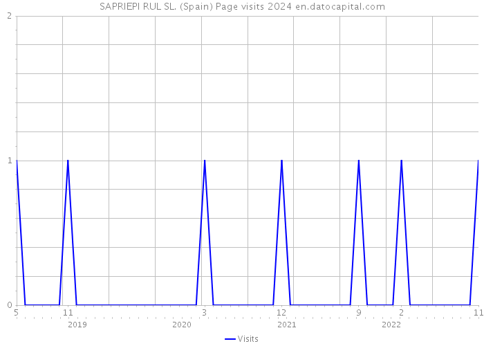 SAPRIEPI RUL SL. (Spain) Page visits 2024 