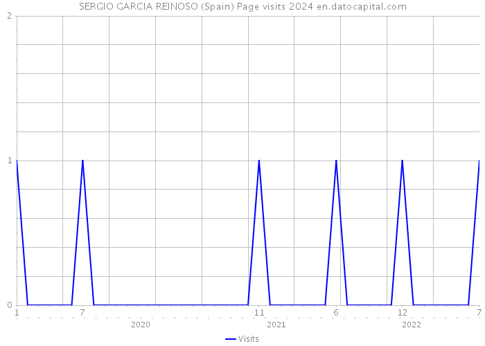 SERGIO GARCIA REINOSO (Spain) Page visits 2024 