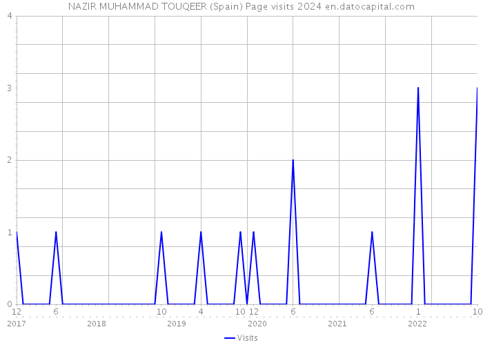 NAZIR MUHAMMAD TOUQEER (Spain) Page visits 2024 