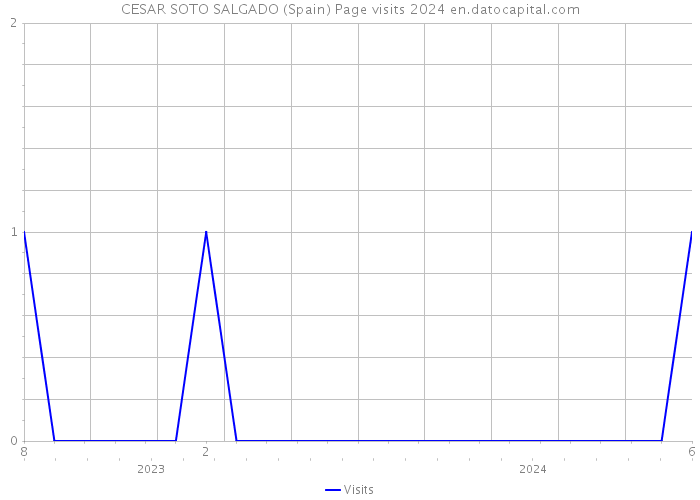 CESAR SOTO SALGADO (Spain) Page visits 2024 