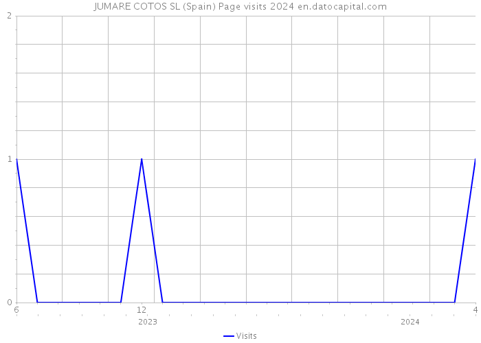 JUMARE COTOS SL (Spain) Page visits 2024 