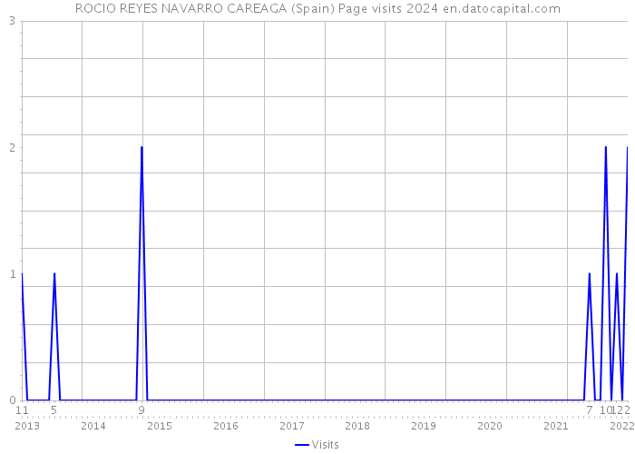 ROCIO REYES NAVARRO CAREAGA (Spain) Page visits 2024 