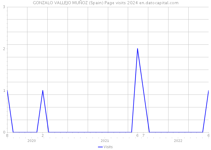 GONZALO VALLEJO MUÑOZ (Spain) Page visits 2024 