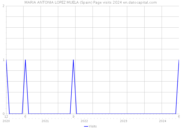 MARIA ANTONIA LOPEZ MUELA (Spain) Page visits 2024 