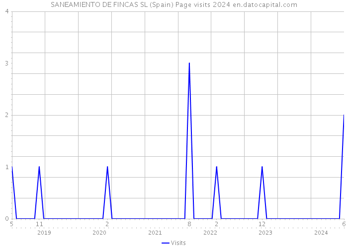 SANEAMIENTO DE FINCAS SL (Spain) Page visits 2024 