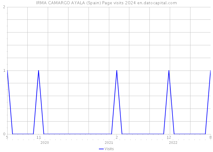 IRMA CAMARGO AYALA (Spain) Page visits 2024 