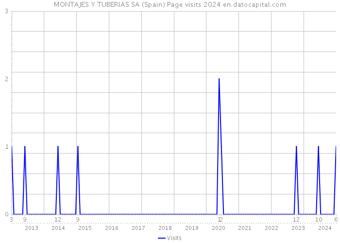 MONTAJES Y TUBERIAS SA (Spain) Page visits 2024 