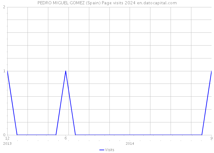 PEDRO MIGUEL GOMEZ (Spain) Page visits 2024 