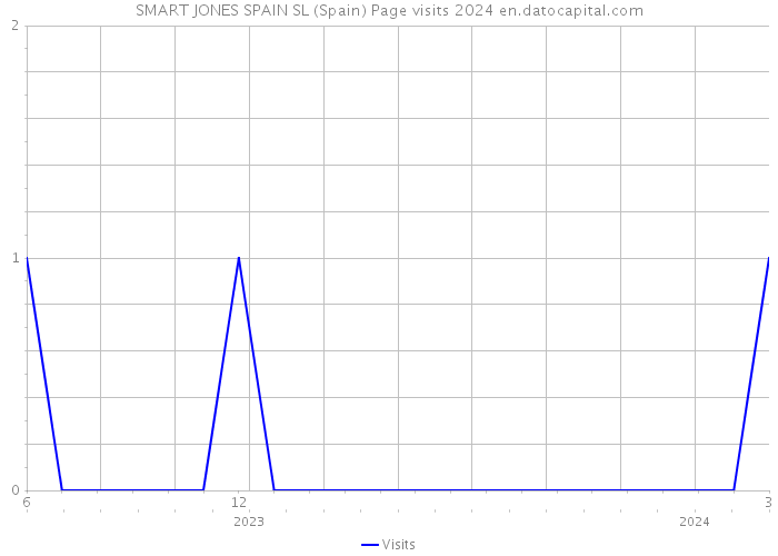SMART JONES SPAIN SL (Spain) Page visits 2024 