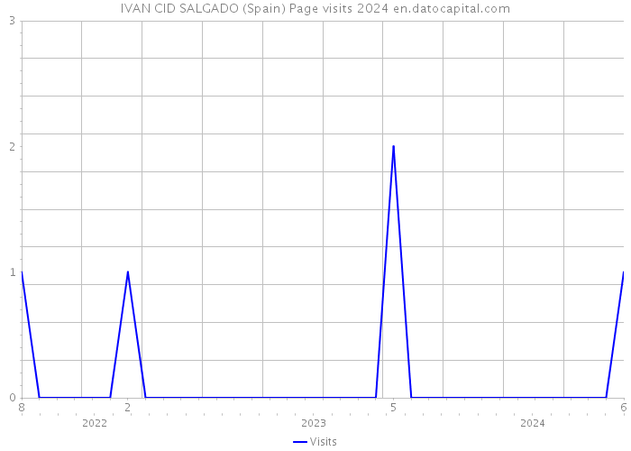 IVAN CID SALGADO (Spain) Page visits 2024 