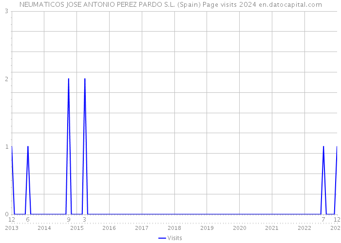NEUMATICOS JOSE ANTONIO PEREZ PARDO S.L. (Spain) Page visits 2024 