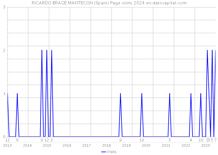 RICARDO BRAGE MANTECON (Spain) Page visits 2024 