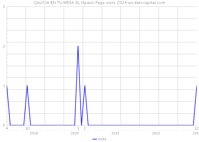 GALICIA EN TU MESA SL (Spain) Page visits 2024 