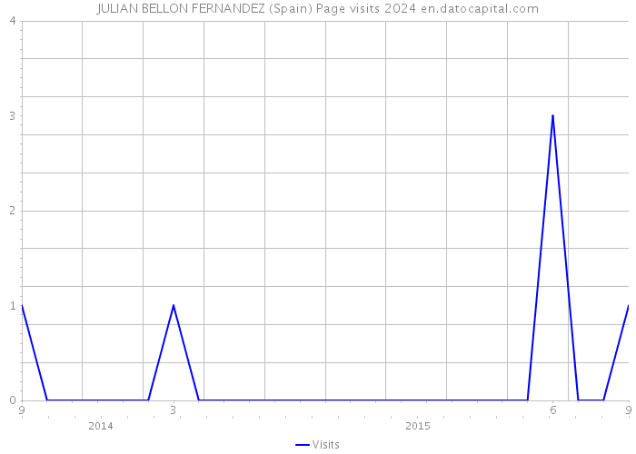 JULIAN BELLON FERNANDEZ (Spain) Page visits 2024 