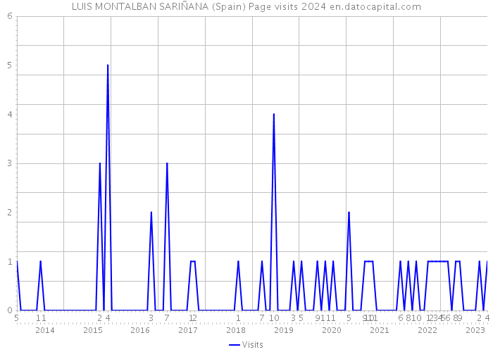 LUIS MONTALBAN SARIÑANA (Spain) Page visits 2024 