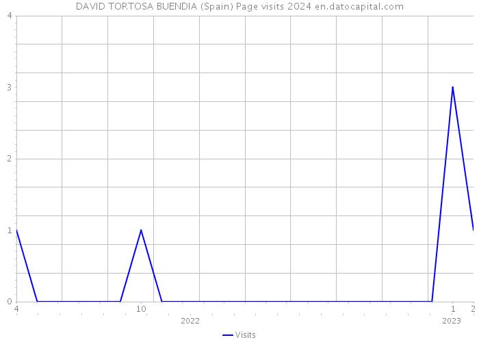 DAVID TORTOSA BUENDIA (Spain) Page visits 2024 