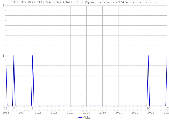 SUMINISTROS INFORMATICA CABALLERO SL (Spain) Page visits 2024 