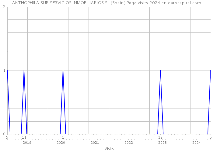 ANTHOPHILA SUR SERVICIOS INMOBILIARIOS SL (Spain) Page visits 2024 