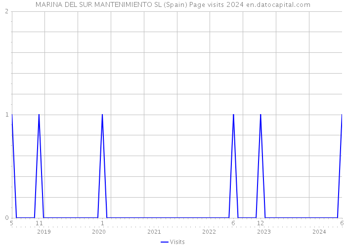 MARINA DEL SUR MANTENIMIENTO SL (Spain) Page visits 2024 