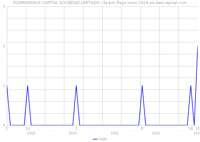 ROSMARINIUS CAPITAL SOCIEDAD LIMITADA. (Spain) Page visits 2024 