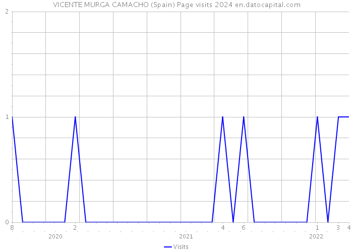 VICENTE MURGA CAMACHO (Spain) Page visits 2024 