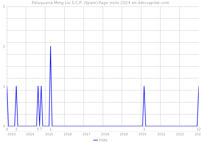 Peluqueria Ming Liu S.C.P. (Spain) Page visits 2024 