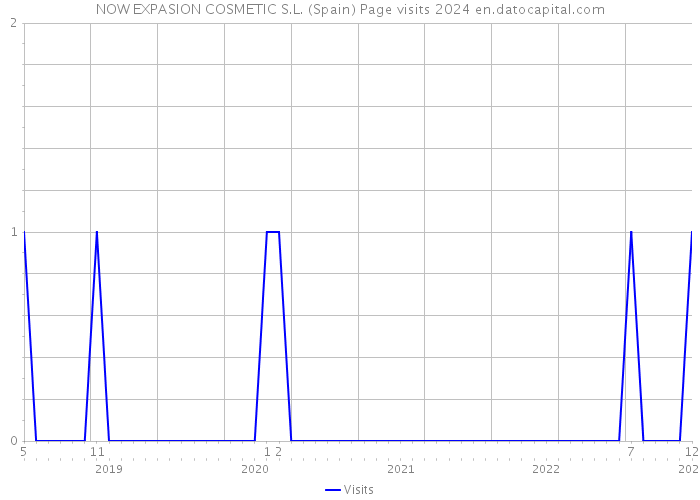 NOW EXPASION COSMETIC S.L. (Spain) Page visits 2024 