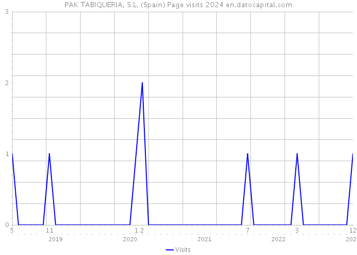 PAK TABIQUERIA, S.L. (Spain) Page visits 2024 