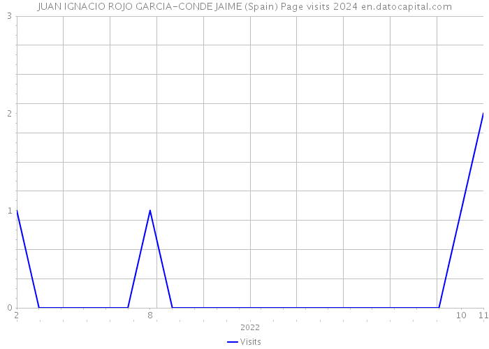 JUAN IGNACIO ROJO GARCIA-CONDE JAIME (Spain) Page visits 2024 