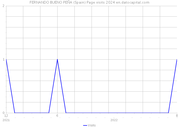 FERNANDO BUENO PEÑA (Spain) Page visits 2024 