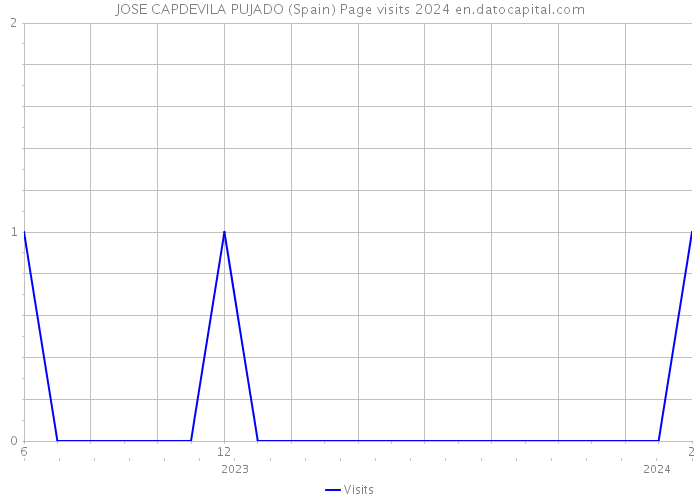 JOSE CAPDEVILA PUJADO (Spain) Page visits 2024 