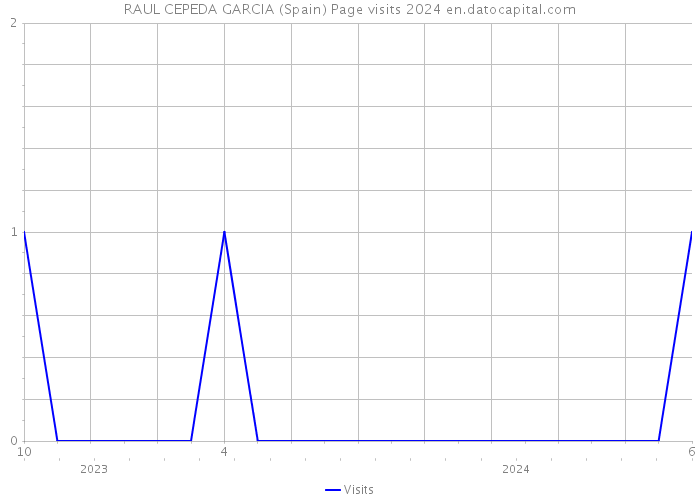 RAUL CEPEDA GARCIA (Spain) Page visits 2024 